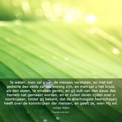 Picture 03 - Daniël 4:25 NLD - Te weten, men zal u van de mensen verstoten, en - Bible Verse Picture