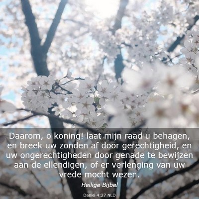 Picture 03 - Daniël 4:27 NLD - Daarom, o koning! laat mijn raad u behagen, en - Bible Verse Picture