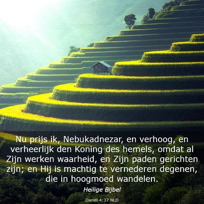 Picture 03 - Daniël 4:37 NLD - Nu prijs ik, Nebukadnezar, en verhoog, en - Bible Verse Picture