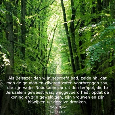 Picture 03 - Daniël 5:2 NLD - Als Belsazar den wijn geproefd had, zeide hij, - Bible Verse Picture