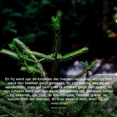 Picture 03 - Daniël 5:21 NLD - En hij werd van de kinderen der mensen verstoten, - Bible Verse Picture