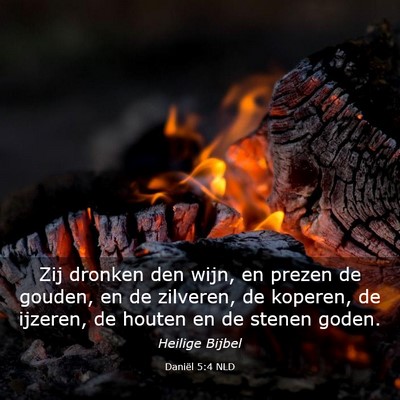 Picture 03 - Daniël 5:4 NLD - Zij dronken den wijn, en prezen de gouden, en de - Bible Verse Picture