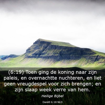 Picture 03 - Daniël 6:18 NLD - (6:19) Toen ging de koning naar zijn paleis, en - Bible Verse Picture