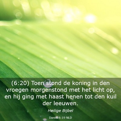 Picture 03 - Daniël 6:19 NLD - (6:20) Toen stond de koning in den vroegen - Bible Verse Picture