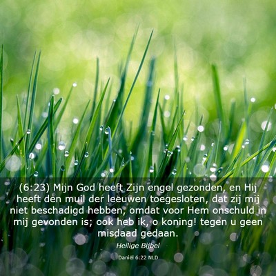 Picture 03 - Daniël 6:22 NLD - (6:23) Mijn God heeft Zijn engel gezonden, en Hij - Bible Verse Picture