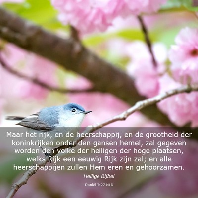 Picture 03 - Daniël 7:27 NLD - Maar het rijk, en de heerschappij, en de - Bible Verse Picture