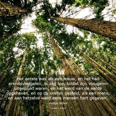 Picture 03 - Daniël 7:4 NLD - Het eerste was als een leeuw, en het had - Bible Verse Picture