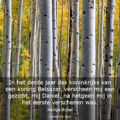 Picture 03 - Daniël 8:1 NLD - In het derde jaar des koninkrijks van den koning - Bible Verse Picture
