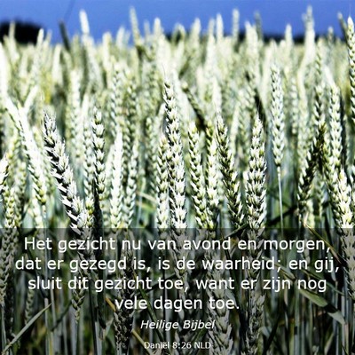 Picture 03 - Daniël 8:26 NLD - Het gezicht nu van avond en morgen, dat er gezegd - Bible Verse Picture