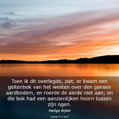 Picture 03 - Daniël 8:5 NLD - Toen ik dit overlegde, ziet, er kwam een - Bible Verse Picture
