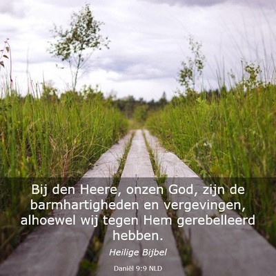 Picture 03 - Daniël 9:9 NLD - Bij den Heere, onzen God, zijn de barmhartigheden - Bible Verse Picture