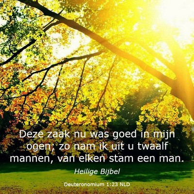 Picture 03 - Deuteronomium 1:23 NLD - Deze zaak nu was goed in mijn ogen; zo nam ik uit - Bible Verse Picture