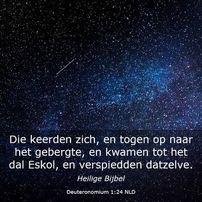 Picture 03 - Deuteronomium 1:24 NLD - Die keerden zich, en togen op naar het gebergte, - Bible Verse Picture