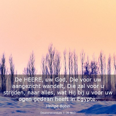 Picture 03 - Deuteronomium 1:30 NLD - De HEERE, uw God, Die voor uw aangezicht wandelt, - Bible Verse Picture