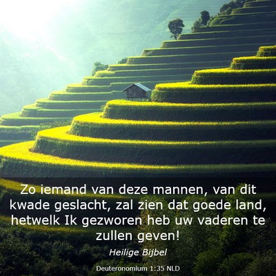 Picture 03 - Deuteronomium 1:35 NLD - Zo iemand van deze mannen, van dit kwade - Bible Verse Picture