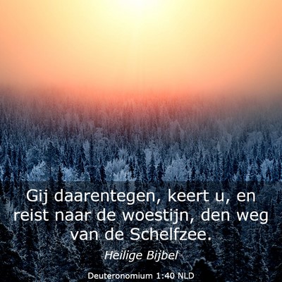Picture 03 - Deuteronomium 1:40 NLD - Gij daarentegen, keert u, en reist naar de - Bible Verse Picture