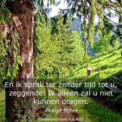 Picture 03 - Deuteronomium 1:9 NLD - En ik sprak ter zelfder tijd tot u, zeggende: Ik - Bible Verse Picture