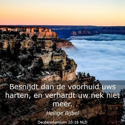 Picture 03 - Deuteronomium 10:16 NLD - Besnijdt dan de voorhuid uws harten, en verhardt - Bible Verse Picture
