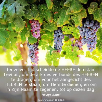 Picture 03 - Deuteronomium 10:8 NLD - Ter zelver tijd scheidde de HEERE den stam Levi - Bible Verse Picture