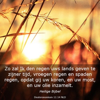 Picture 03 - Deuteronomium 11:14 NLD - Zo zal Ik den regen uws lands geven te zijner - Bible Verse Picture