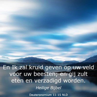 Picture 03 - Deuteronomium 11:15 NLD - En Ik zal kruid geven op uw veld voor uw beesten; - Bible Verse Picture