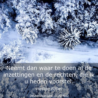 Picture 03 - Deuteronomium 11:32 NLD - Neemt dan waar te doen al de inzettingen en de - Bible Verse Picture