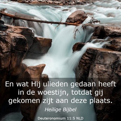 Picture 03 - Deuteronomium 11:5 NLD - En wat Hij ulieden gedaan heeft in de woestijn, - Bible Verse Picture
