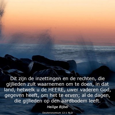 Picture 03 - Deuteronomium 12:1 NLD - Dit zijn de inzettingen en de rechten, die - Bible Verse Picture