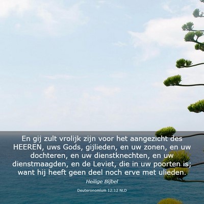 Picture 03 - Deuteronomium 12:12 NLD - En gij zult vrolijk zijn voor het aangezicht des - Bible Verse Picture