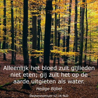 Picture 03 - Deuteronomium 12:16 NLD - Alleenlijk het bloed zult gijlieden niet eten; - Bible Verse Picture