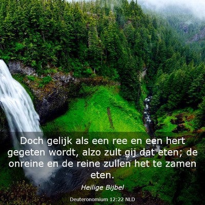 Picture 03 - Deuteronomium 12:22 NLD - Doch gelijk als een ree en een hert gegeten - Bible Verse Picture