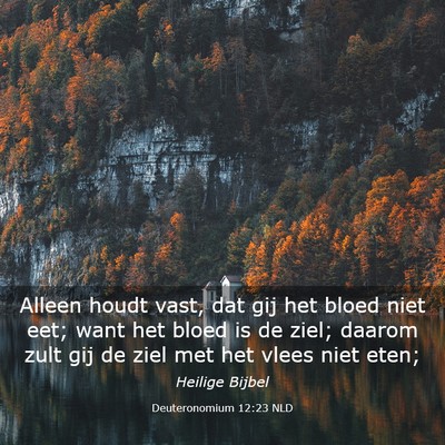 Picture 03 - Deuteronomium 12:23 NLD - Alleen houdt vast, dat gij het bloed niet eet; - Bible Verse Picture