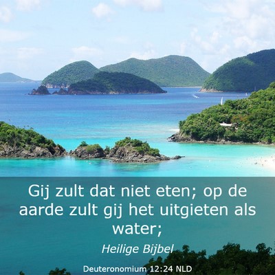 Picture 03 - Deuteronomium 12:24 NLD - Gij zult dat niet eten; op de aarde zult gij het - Bible Verse Picture