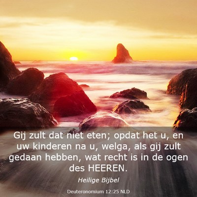 Picture 03 - Deuteronomium 12:25 NLD - Gij zult dat niet eten; opdat het u, en uw - Bible Verse Picture