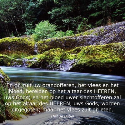 Picture 03 - Deuteronomium 12:27 NLD - En gij zult uw brandofferen, het vlees en het - Bible Verse Picture