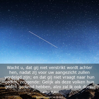 Picture 03 - Deuteronomium 12:30 NLD - Wacht u, dat gij niet verstrikt wordt achter hen, - Bible Verse Picture