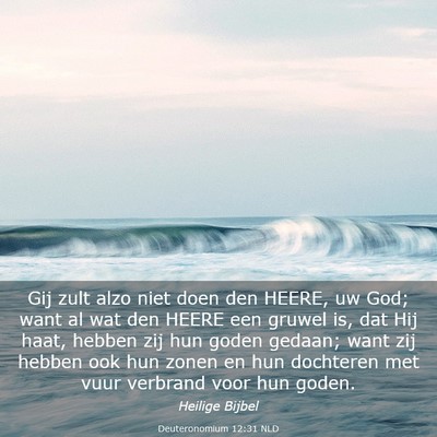 Picture 03 - Deuteronomium 12:31 NLD - Gij zult alzo niet doen den HEERE, uw God; want - Bible Verse Picture