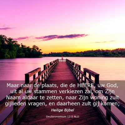 Picture 03 - Deuteronomium 12:5 NLD - Maar naar de plaats, die de HEERE, uw God, uit al - Bible Verse Picture