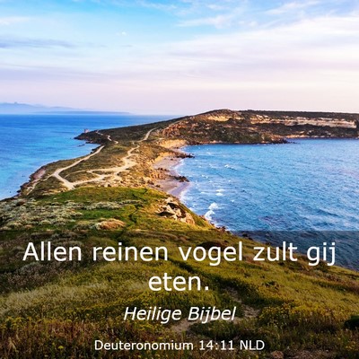 Picture 03 - Deuteronomium 14:11 NLD - Allen reinen vogel zult gij - Bible Verse Picture