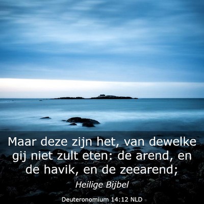 Picture 03 - Deuteronomium 14:12 NLD - Maar deze zijn het, van dewelke gij niet zult - Bible Verse Picture