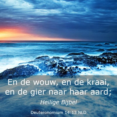 Picture 03 - Deuteronomium 14:13 NLD - En de wouw, en de kraai, en de gier naar haar - Bible Verse Picture