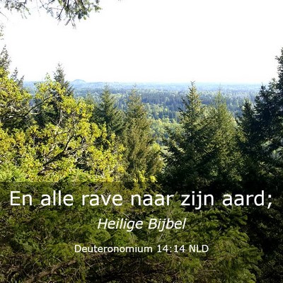 Picture 03 - Deuteronomium 14:14 NLD - En alle rave naar zijn - Bible Verse Picture