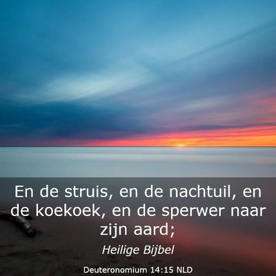 Picture 03 - Deuteronomium 14:15 NLD - En de struis, en de nachtuil, en de koekoek, en - Bible Verse Picture