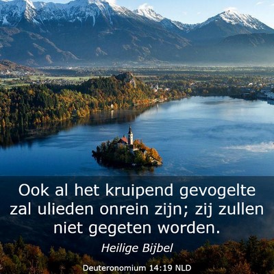 Picture 03 - Deuteronomium 14:19 NLD - Ook al het kruipend gevogelte zal ulieden onrein - Bible Verse Picture