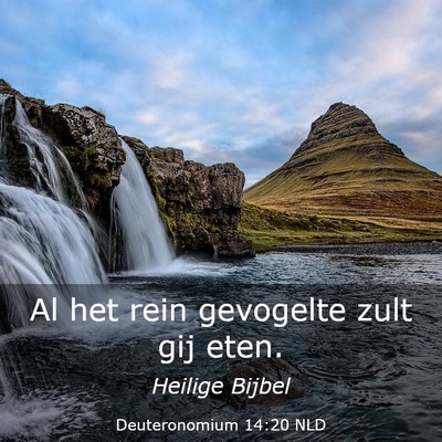 Picture 03 - Deuteronomium 14:20 NLD - Al het rein gevogelte zult gij - Bible Verse Picture