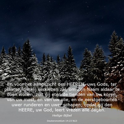 Picture 03 - Deuteronomium 14:23 NLD - En voor het aangezicht des HEEREN, uws Gods, ter - Bible Verse Picture