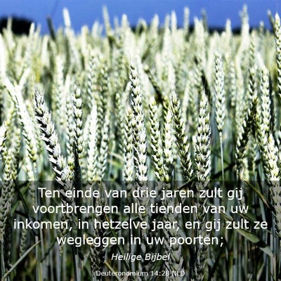 Picture 03 - Deuteronomium 14:28 NLD - Ten einde van drie jaren zult gij voortbrengen - Bible Verse Picture