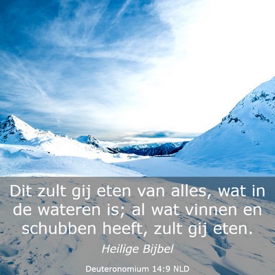 Picture 03 - Deuteronomium 14:9 NLD - Dit zult gij eten van alles, wat in de wateren - Bible Verse Picture