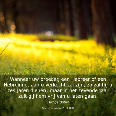 Picture 03 - Deuteronomium 15:12 NLD - Wanneer uw broeder, een Hebreer of een Hebreinne, - Bible Verse Picture