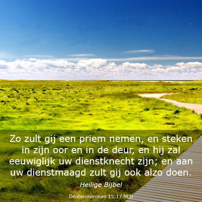 Picture 03 - Deuteronomium 15:17 NLD - Zo zult gij een priem nemen, en steken in zijn - Bible Verse Picture